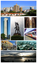Collage Santa Cruz